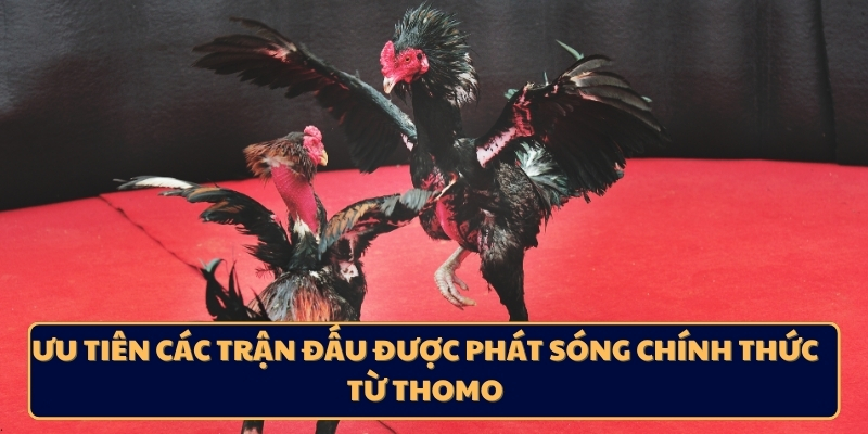 Ưu tiên các trận đấu được phát sóng chính thức từ Thomo